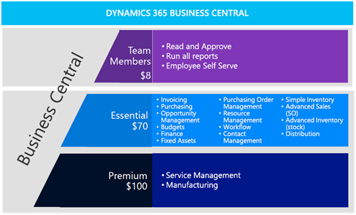 Business Central Licenstyper